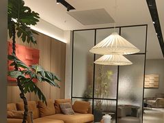 -红星美凯龙(上海沪南店)
