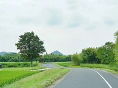 -良渚古城遗址公园