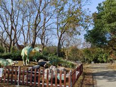 -上海海湾国家森林公园