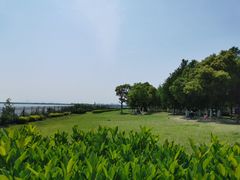 -江滩湿地公园