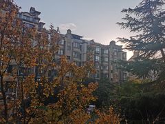 -杨记清芳牛肉拉面(宝龙广场店)