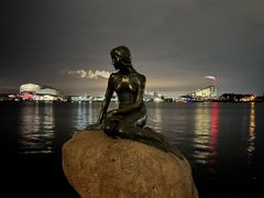 -美人鱼