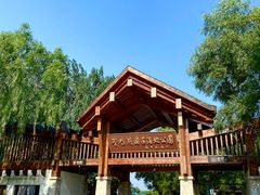 -野鸭湖国家湿地公园