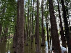 -采石矶景区