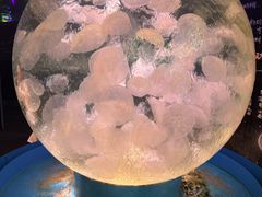 -正佳极地海洋世界