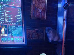 -秘宅KTV(马甸桥店)