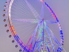 -祥源·阜阳生态乐园