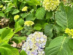 -贵州省植物园