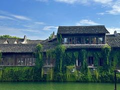 -乌镇景区