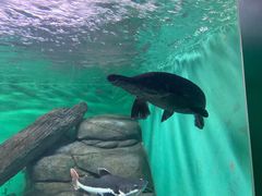 -常州海昌海洋探索馆