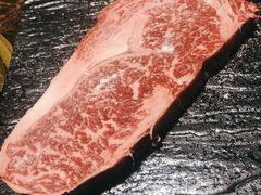射和牛M9+级冷藏熟成和牛-觅福里•熟成和牛餐厅