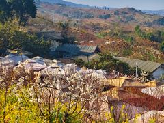 -桃源山庄·水蜜桃采摘·柴火鸡·烧烤团建(龙泉山店)