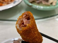 -丁老爷子苏香圆