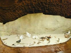 -酷嗒动物文化乐园(cutezoo西溪乐天城店)