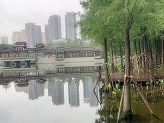-重庆彩云湖湿地公园