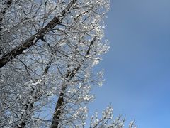 -中旅松花湖滑雪场