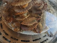 -港畔赶海蒸汽海鲜烧烤自助(仙螺岛店)