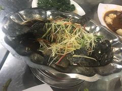 清蒸石斑鱼-QQ海鲜餐厅