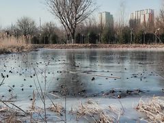 -永定河休闲森林公园