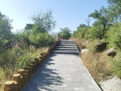 -白水寺森林公园