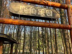 -溱湖国家湿地公园