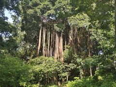 -晓港公园