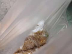 -六广门毛阿姨糯米饭