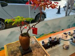 -华祥苑茗茶(翠竹路店)