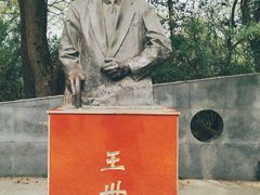 -武汉大学-樱园