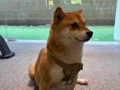-mYSTEPS健身运动馆(古北店)