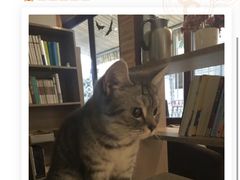 -隅cafe(傅厚岗店)