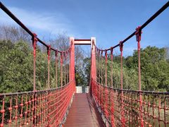 -上海吴淞炮台湾国家湿地公园