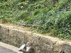 -黔灵山公园