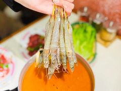 -燃计沙茶皇·香港沙茶火锅(人广旗舰店)