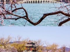 -颐和园