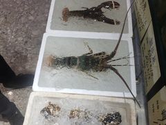 -蚝得喜海鲜(东城店)