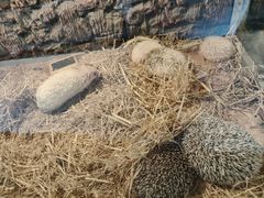 -哈尔滨北方森林动物园