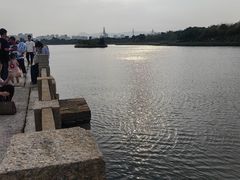 -安平桥