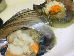 -东江港海鲜城(广雅花园别墅区店)