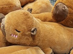 -BIGOFFS 超级折扣(仁恒伊势丹店)