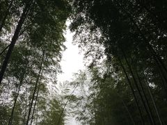 -陶祖圣境风景区