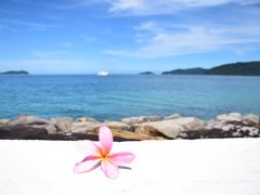 -麦哲伦丝绸度假村