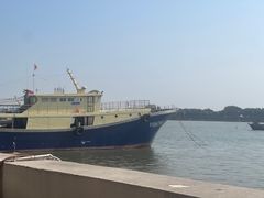 -大湾区中央湿地公园-十九涌