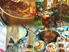 -大理董·董家小厨野生菌火锅(古城旗舰店)