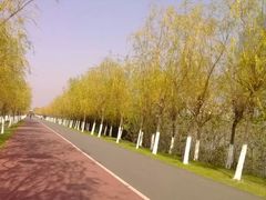 -艾溪湖湿地公园