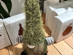 -一尺花园(安和花园店)