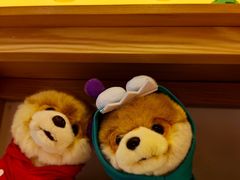 -猫的天空之城概念书店(大学路店)