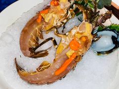 -揽季锅物会.福建黄鱼.海鲜姿造(五四路店)