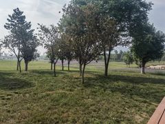 -汉长安城未央宫国家考古遗址公园