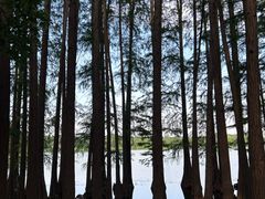 -东湖落雁景区